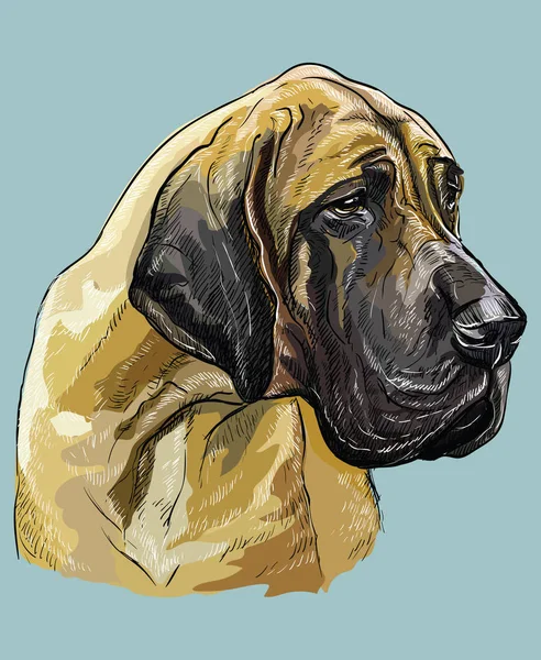 Německá Doga Vektorové Ruční Kreslení Ilustrace Různých Barvách Tyrkysové Pozadí — Stockový vektor