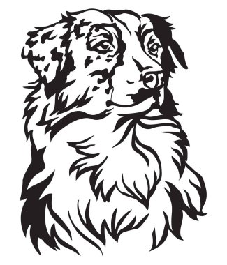 Decorative portrait of dog Australian shepherd, vector isolated illustration in black color on white background clipart
