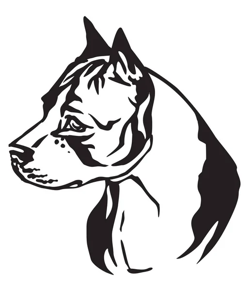 Retrato Decorativo Cão American Staffordshire Terrier Vetor Isolado Ilustração Cor —  Vetores de Stock