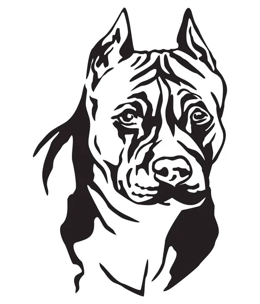Decorative Portrait Dog American Staffordshire Terrier Vector Isolated Illustration Black — Stock Vector