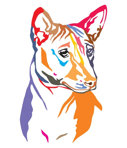 Colorato Ritratto Decorativo Del Cane Basenji Illustrazione Vettoriale Diversi Colori — Vettoriale Stock