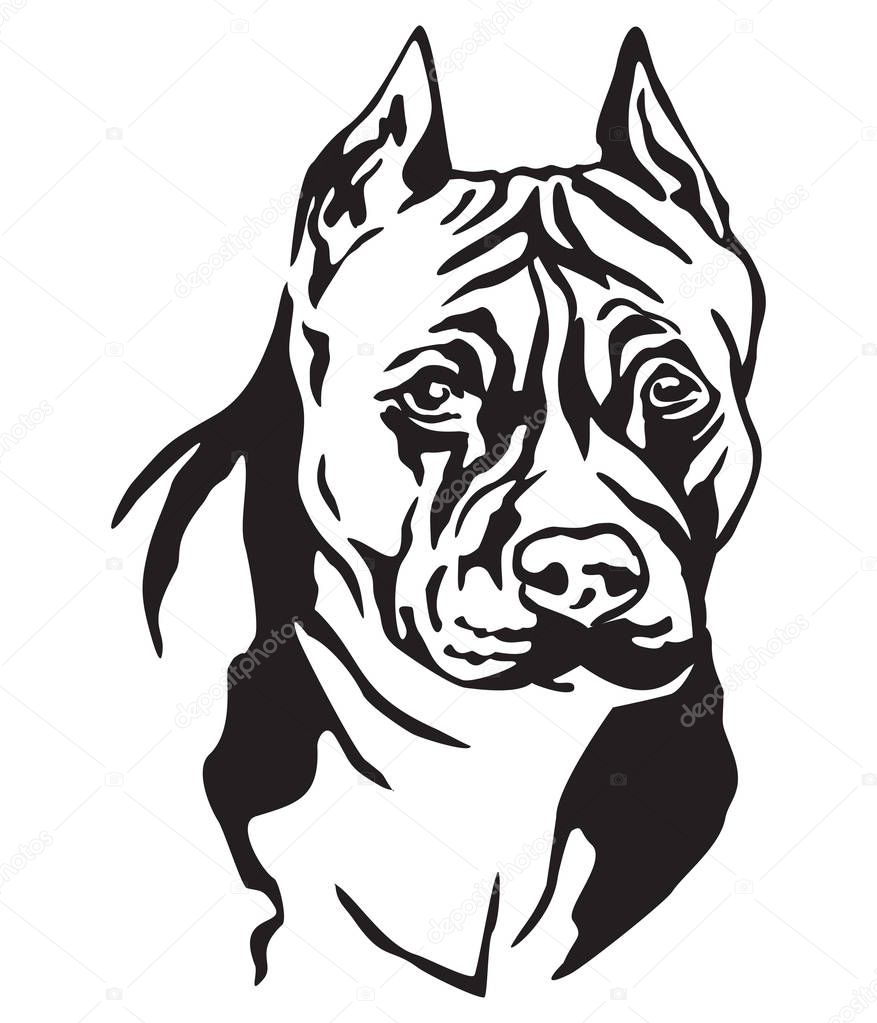 Decorative portrait of dog American Staffordshire Terrier, vector isolated illustration in black color on white background