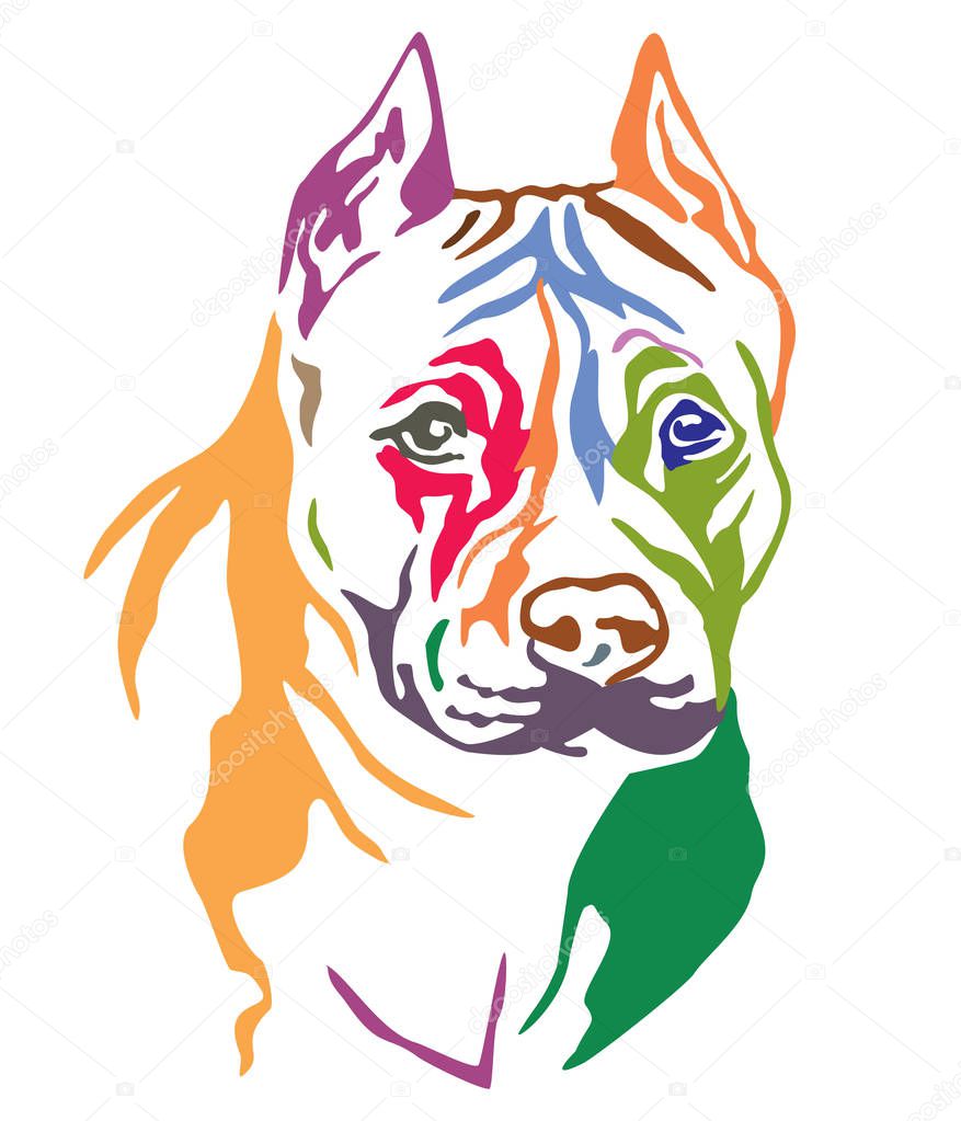 Colorful decorative portrait of dog American Staffordshire Terrier, vector illustration in different colors isolated on white background