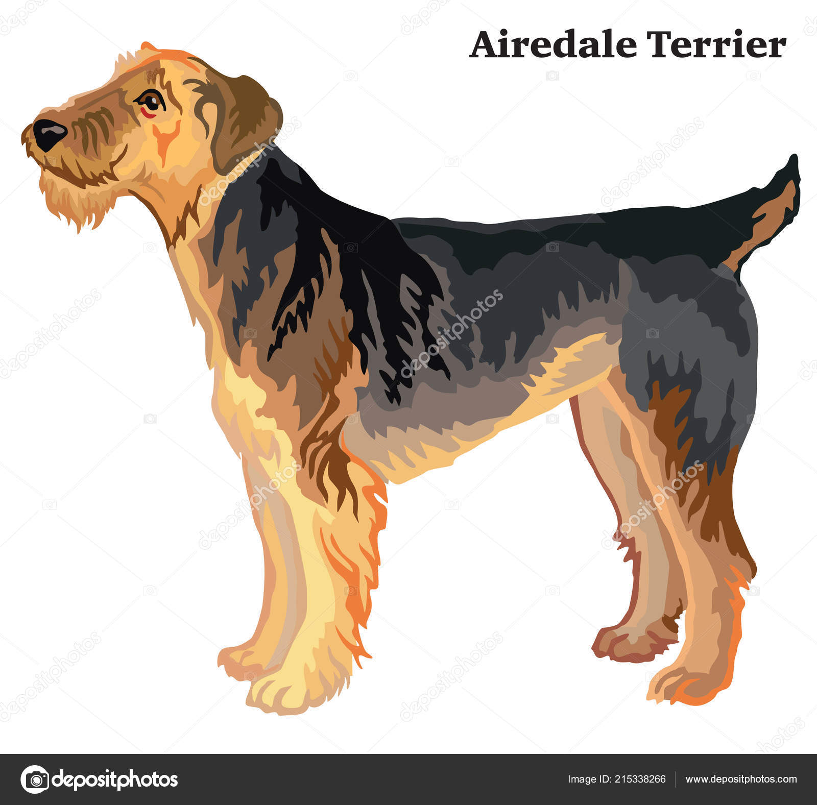 プロファイル エアデール テリア犬 白い背景で隔離ベクトル カラフルなイラストに立っての肖像画 ストックベクター C Alinart プロファイル エアデール テリア犬 白い背景で隔離ベクトル カラフルなイラストに立っての肖像画 ストックベクター C Alinart