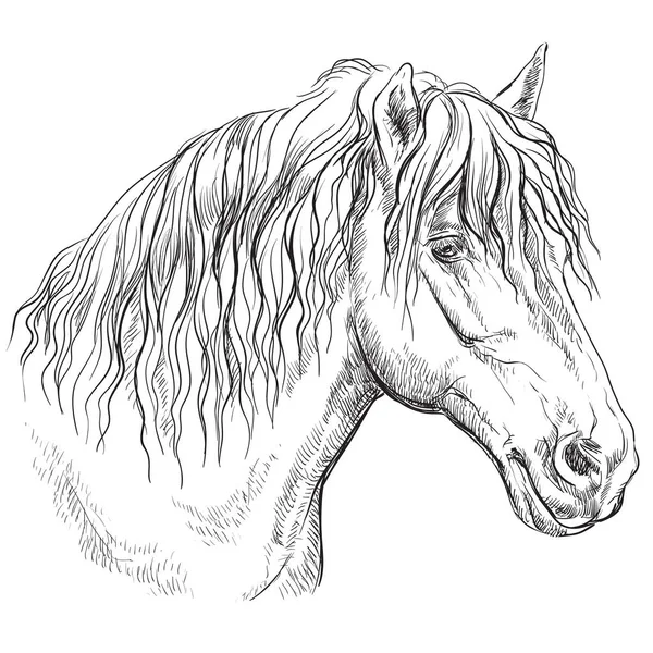 Drawing Thoroughbred Stallionストックベクター ロイヤリティフリーdrawing Thoroughbred Stallion イラスト ページ 7 Depositphotos Drawing Thoroughbred Stallionストックベクター ロイヤリティフリーdrawing Thoroughbred Stallion イラスト ページ 7 Depositphotos