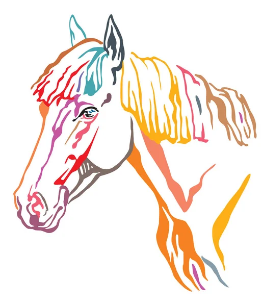 Colorato Ritratto Decorativo Profilo Bellissimo Cavallo Con Criniera Lunga Illustrazione — Vettoriale Stock