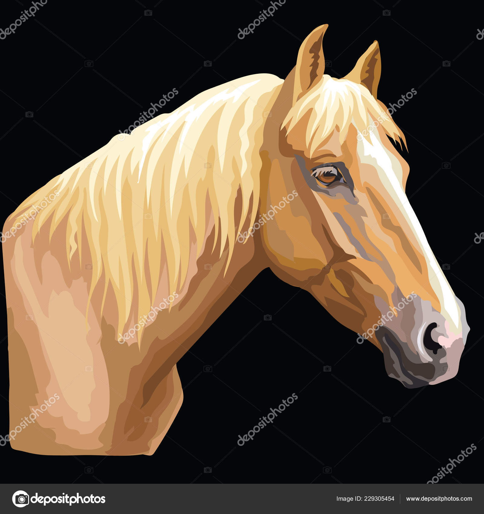 Resultado de imagem para cabeça de cavalo desenho colorido