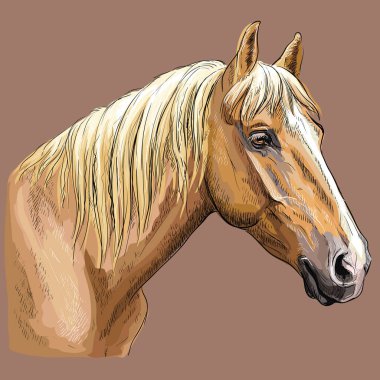 Free Horse Head Profile Svg SVG PNG EPS DXF File