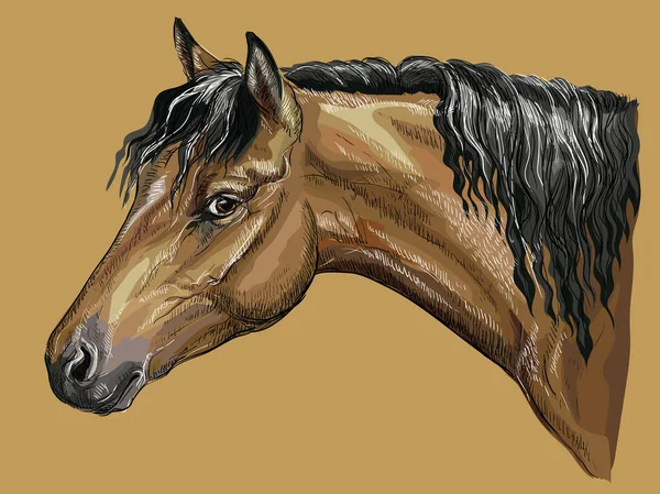 Colorido Retrato Dibujo Mano Bay Welsh Pony Cabeza Caballo Con — Archivo Imágenes Vectoriales