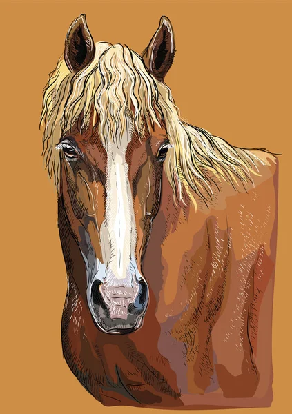 五颜六色的手绘俄罗斯重的草稿马的画像 马头在外形被隔绝的向量手图画例证在米色背景 — 图库矢量图片