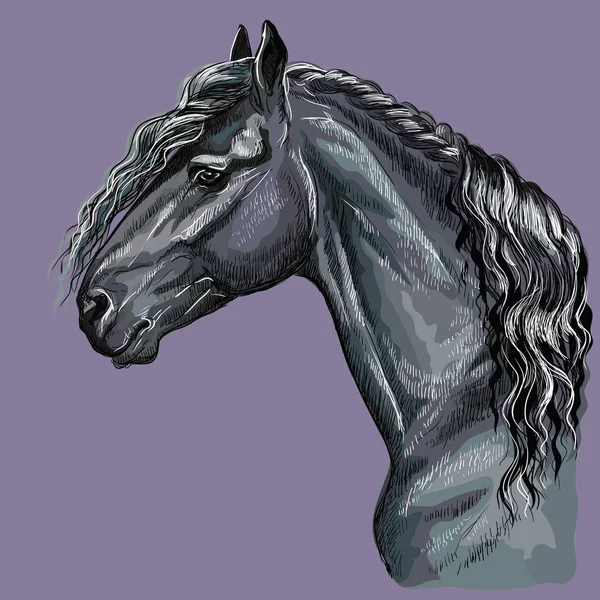 Красочный Ручной Портрет Фризской Лошади Лошадиная Голова Профиль Изолированные Векторные — стоковый вектор