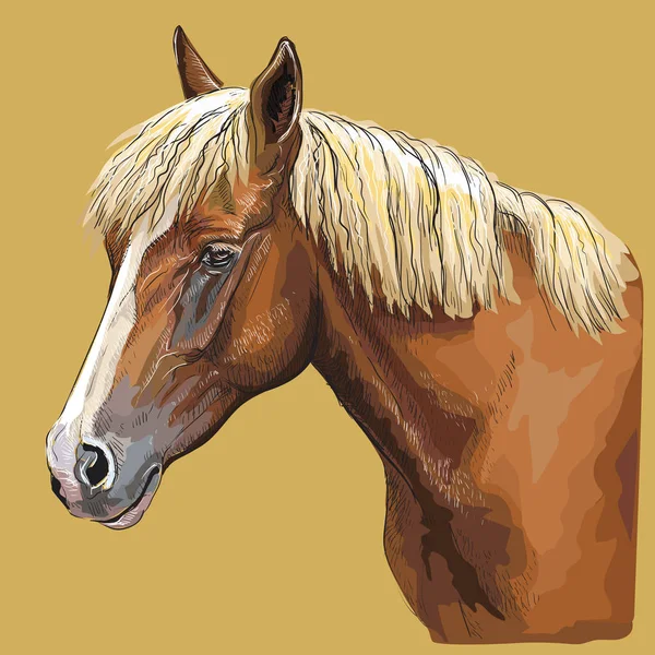 Colorato Disegno Mano Ritratto Cavallo Testa Cavallo Profilo Isolato Vettore — Vettoriale Stock