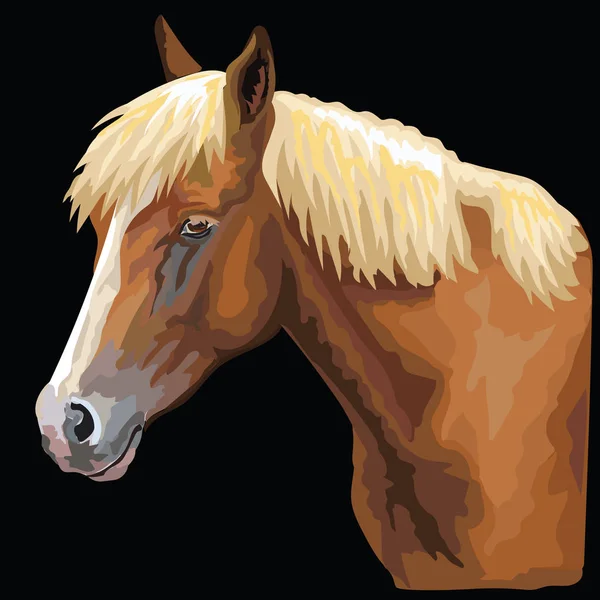 五颜六色的马的肖像 马头在外形被隔绝的向量手图画例证在黑色背景 — 图库矢量图片