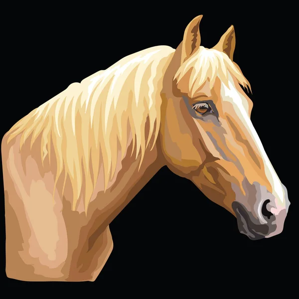 Colorido Retrato Caballo Palomino Cabeza Caballo Perfil Aislado Vector Dibujo — Vector de stock