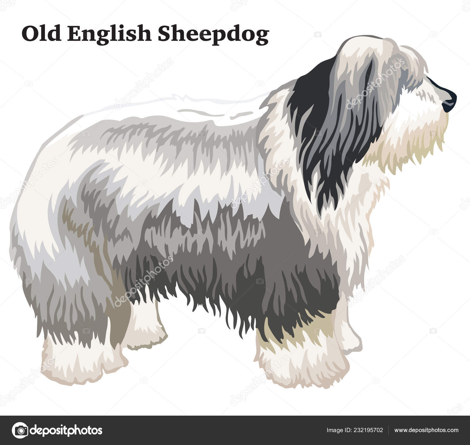 Perro pastor inglés viejo imagen de archivo. Imagen de perro