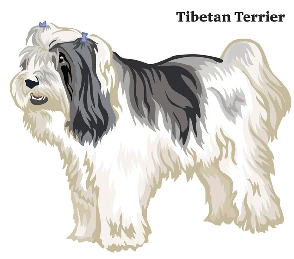 Retrato Pie Perfil Del Perro Tibetano Terrier Vector Colorido Ilustración — Archivo Imágenes Vectoriales