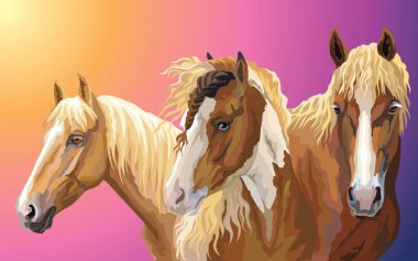 At nalı doğurmak (Pinto at; portreleri renkli vektör kümesi Beyaz Rusça koşum atı; Amerikan çeyrek ATI) izole üzerinde gradyan arka planı