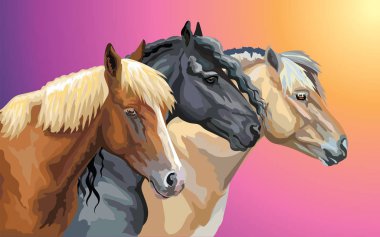 At nalı doğurmak (Norveç fiyordu midilli; portreleri renkli vektör kümesi Be at, Beyaz Rusça koşum atı) degrade arka plan üzerinde izole