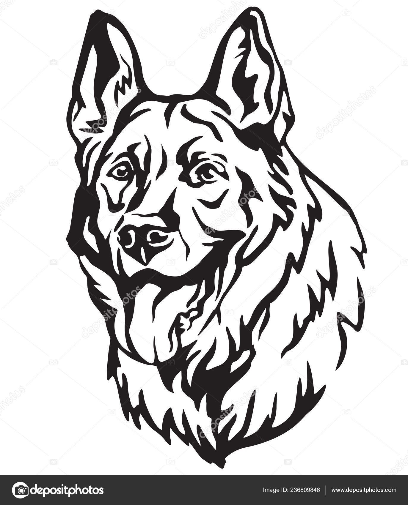 Decorative Portrait Dog German Shepherd Vector Isolated Illustration ...