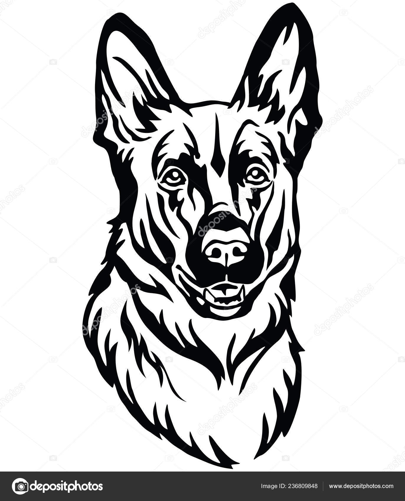 Decorative Portrait Dog German Shepherd Vector Isolated Illustration ...