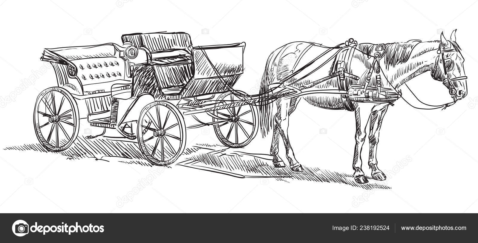 Old Horse Carriage Or Wagon With Coachman, Sketch Vector Illustration  Isolated. Royalty Free SVG, Cliparts, Vectors, and Stock Illustration.  Image 181953181.