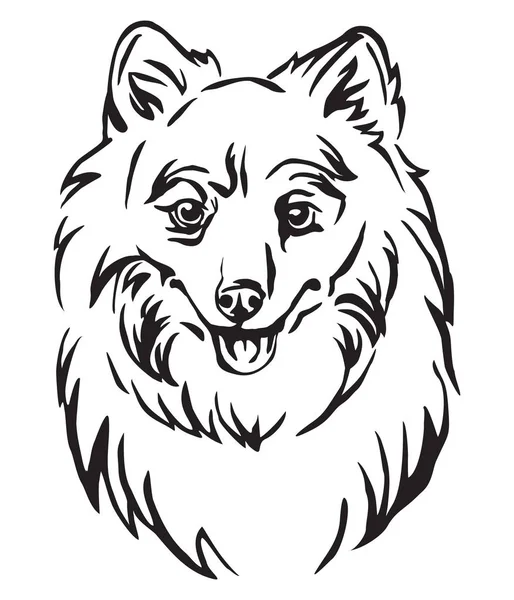 Decorative Outline Portrait Dog Japanese Spitz Vector Illustration Black Color — Stock Vector