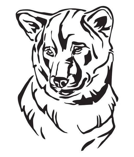 Dekoratif Anahat Portresi Köpek Shiba Inu Vektör Illüstrasyon Izole Beyaz — Stok Vektör