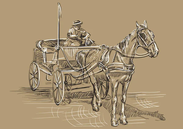 Dessin Vectoriel Main Illustration Chariot Tiré Par Cheval Avec Cocher — Image vectorielle