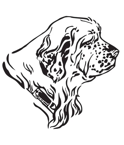 Portrait Contour Décoratif Dog Clumber Spaniel Regardant Profil Illustration Vectorielle — Image vectorielle