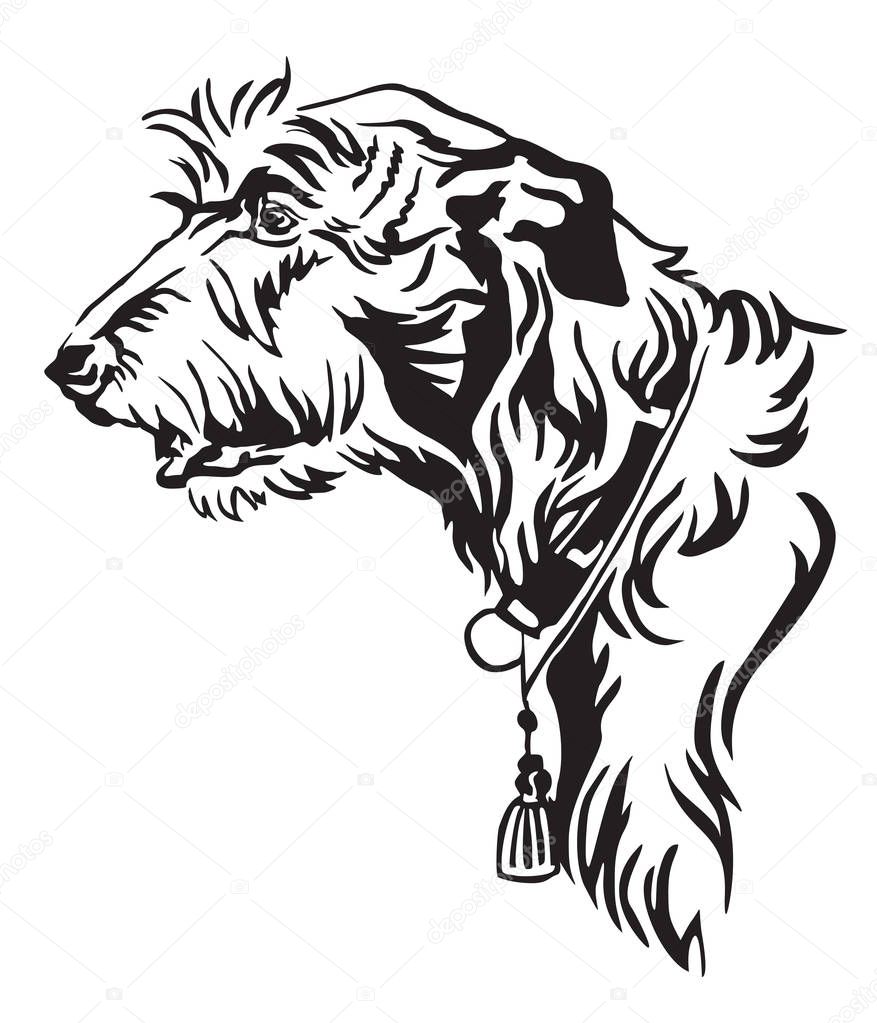 Decorative outline portrait of Dog Irish Wolfhound looking in profile, vector illustration in black color isolated on white background. Image for design and tattoo. 