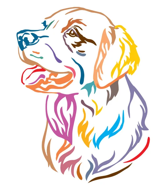 Retrato Contorno Decorativo Colorido Dog Golden Retriever Olhando Perfil Ilustração — Vetor de Stock