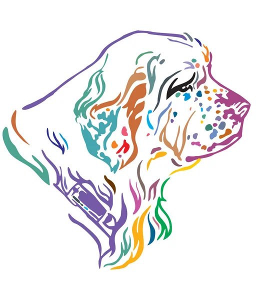 Colorful Decorative Outline Portrait Dog Clumber Spaniel Looking Profile Vector — Stock Vector