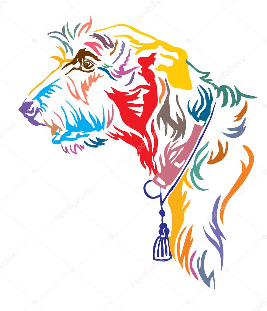 Colorful decorative outline portrait of Irish Wolfhound Dog looking in profile, vector illustration in different colors isolated on white background. Image for design and tattoo. 