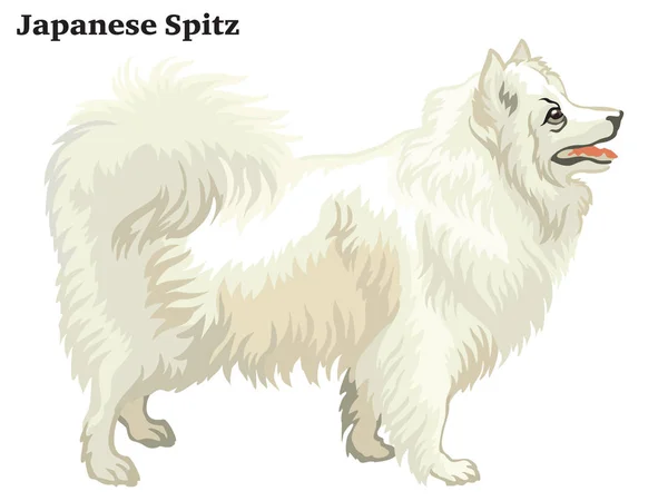 รูปแบบการตกแต่งสีของเวกเตอร์ Spitz ญี่ปุ่น il — ภาพเวกเตอร์สต็อก