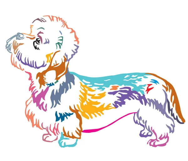 犬のダンディ ・ ディンモント ・ テリア ペイント、ペイント ブラシのカラフルな装飾的な肖像 — ストックベクタ