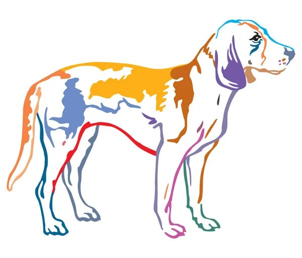 Colorful decorative portrait of Dog Estonian Hound vector illust — Stock Vector