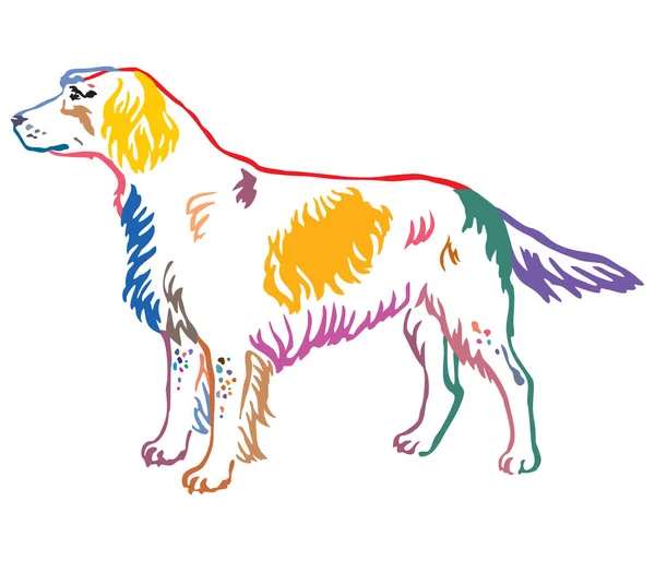 Colorato ritratto decorativo di piccolo vettore Munsterlander Dog i — Vettoriale Stock