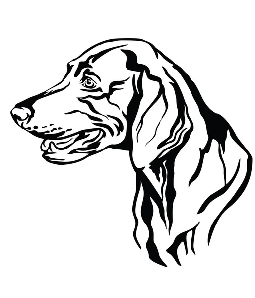 Retrato decorativo de Weimaraner Perro vector ilustración — Archivo Imágenes Vectoriales