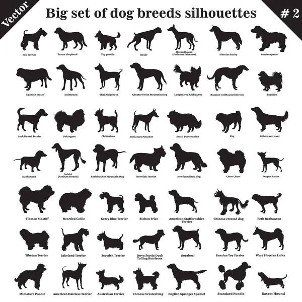 Vector dogs silhouettes 2 — Stock Vector