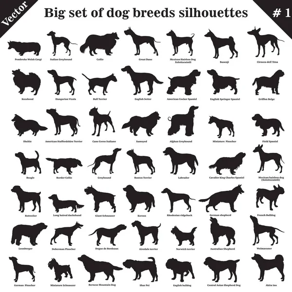 Vector dogs silhouettes 1 — Stock Vector