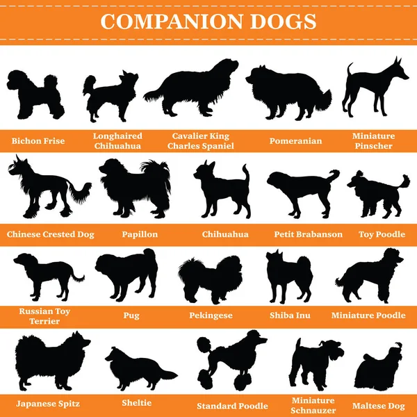 Silhouettes vectorielles pour chiens de compagnie — Image vectorielle