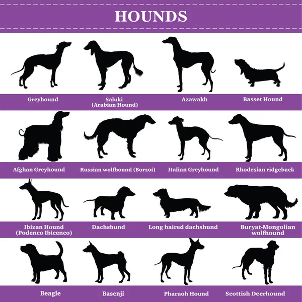 Vector hounds silhouettes — Stock Vector