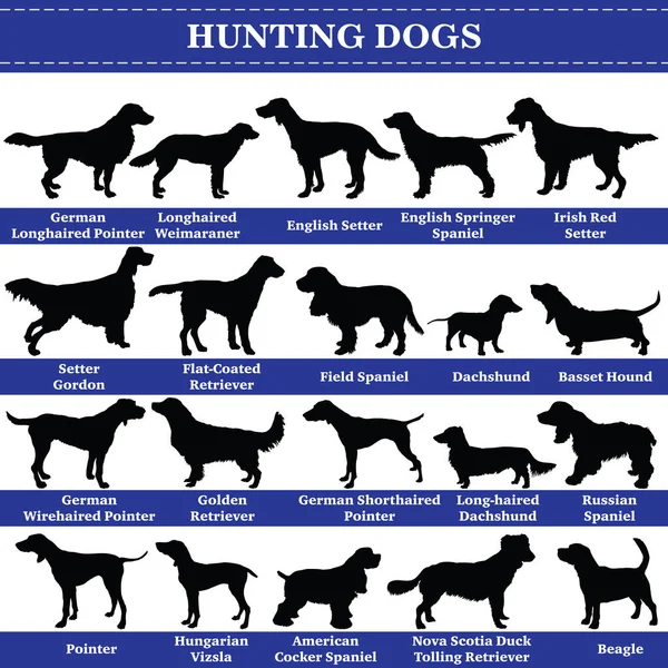 Φιγούρες κυνηγιού σκύλων — Διανυσματικό Αρχείο