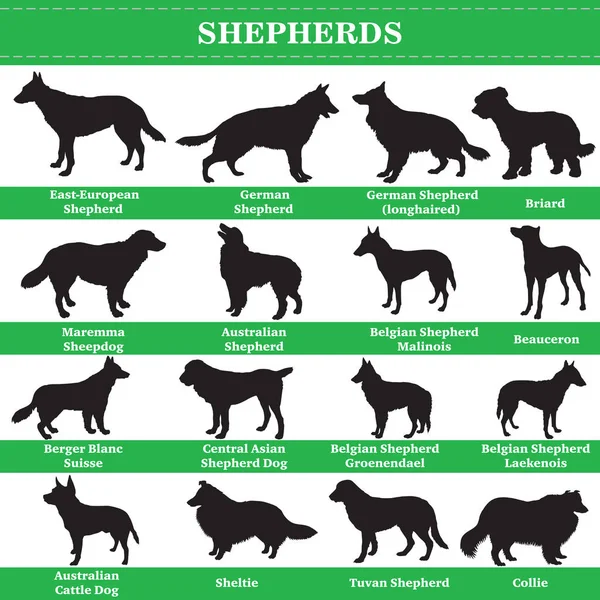 Vector shepherds silhouettes — Stock Vector