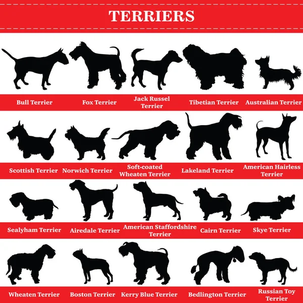 Silhouettes de terriers vectoriels — Image vectorielle