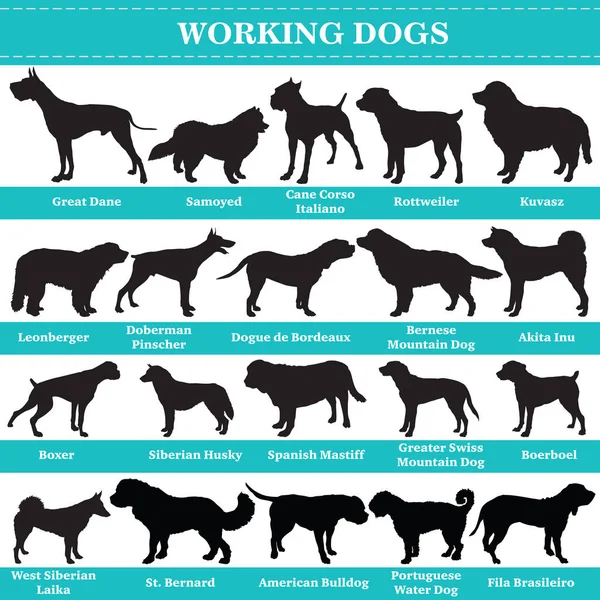 Vector working dogs silhouettes — Stock Vector