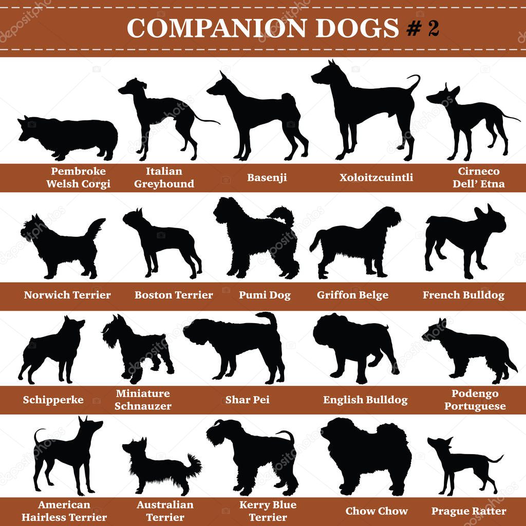 Vector companion dogs silhouettes 2