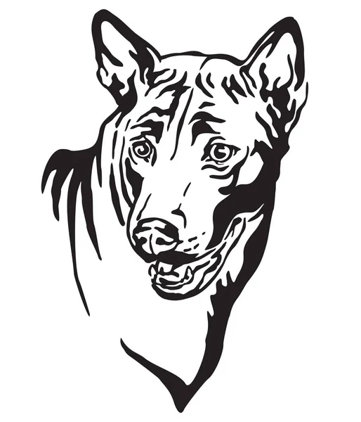 Retrato decorativo da ilustração vetorial Thai Ridgeback Dog —  Vetores de Stock