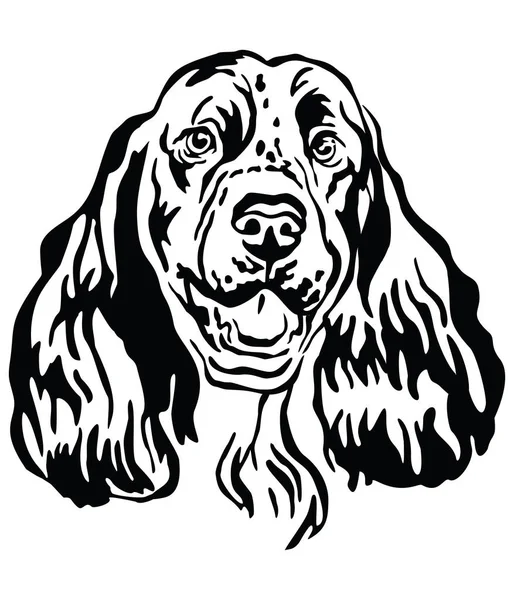 Decorative portrait of Springer Spaniel Dog vector illustration — Stock Vector