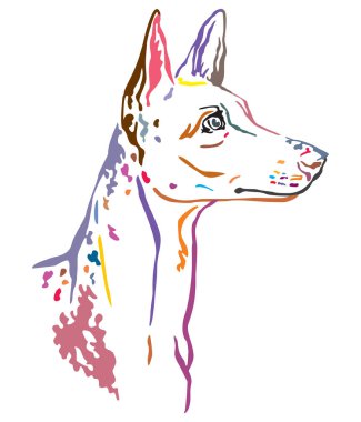 Colorful decorative portrait of Ibizan Hound Dog vector illustra clipart